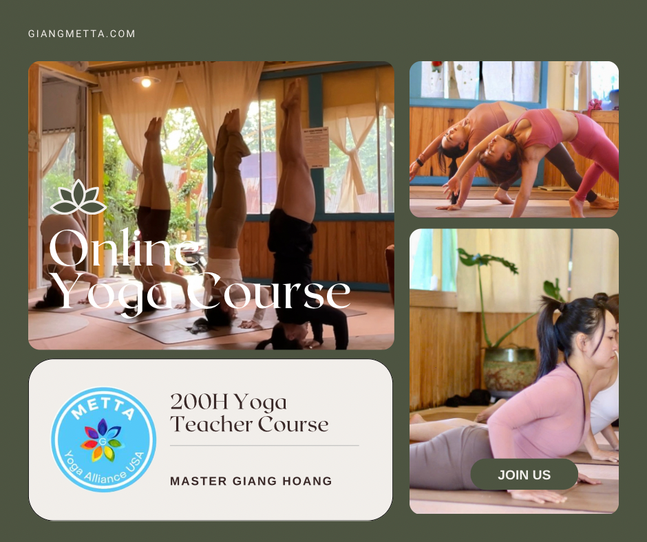Đào Tạo Giáo Viên Yoga 200H tại Đà Lạt