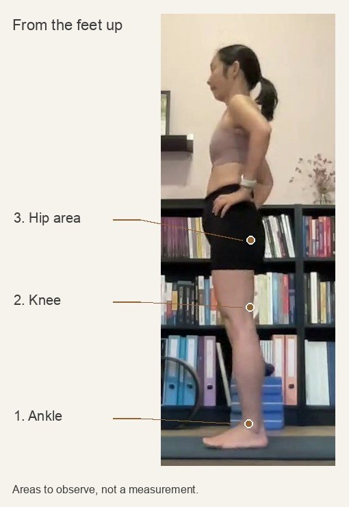 Side view of a standing student with three labels from the bottom up: 1 ankle, 2 knee, 3 hip area.
