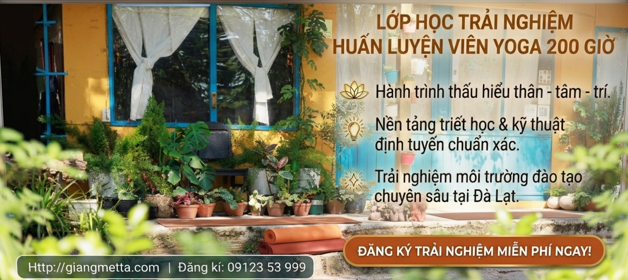 Không gian studio cho buổi học thử đào tạo giáo viên yoga 200H tại Giang Metta Đà Lạt